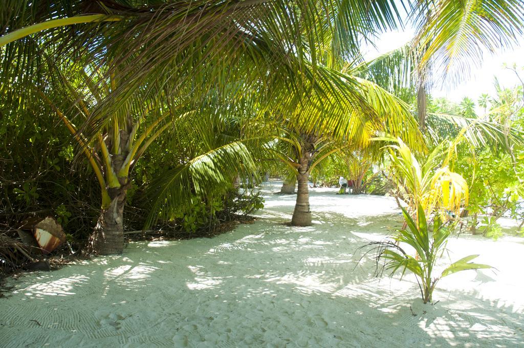 Palm Garden Hotel Thoddoo Exterior photo